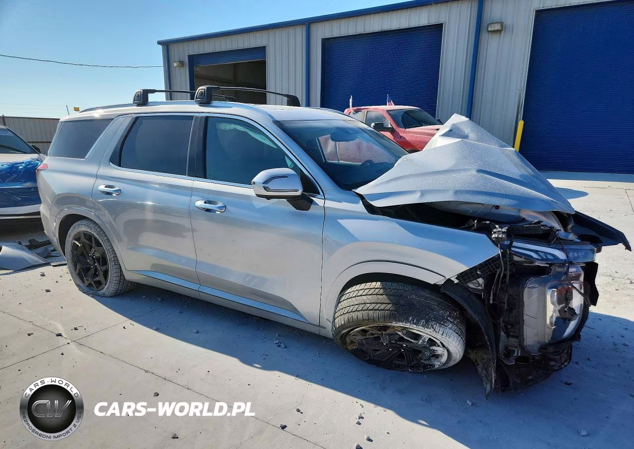2022 Hyundai Palisade Calligraphy VIN:KM8R74HE3NU411141 - 4