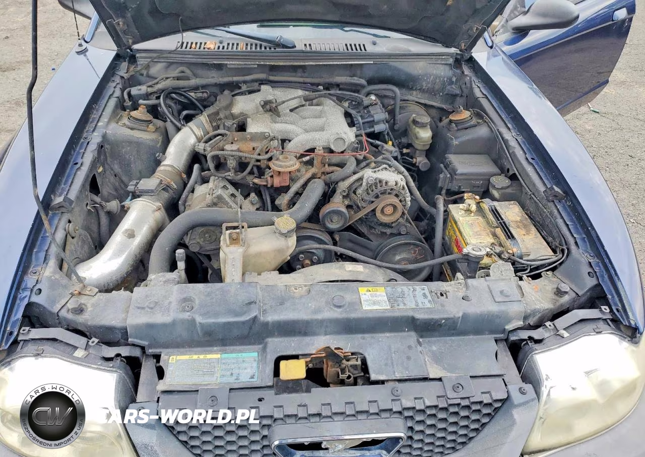 2003 Ford Mustang VIN:1FAFP40443F317755 - 11