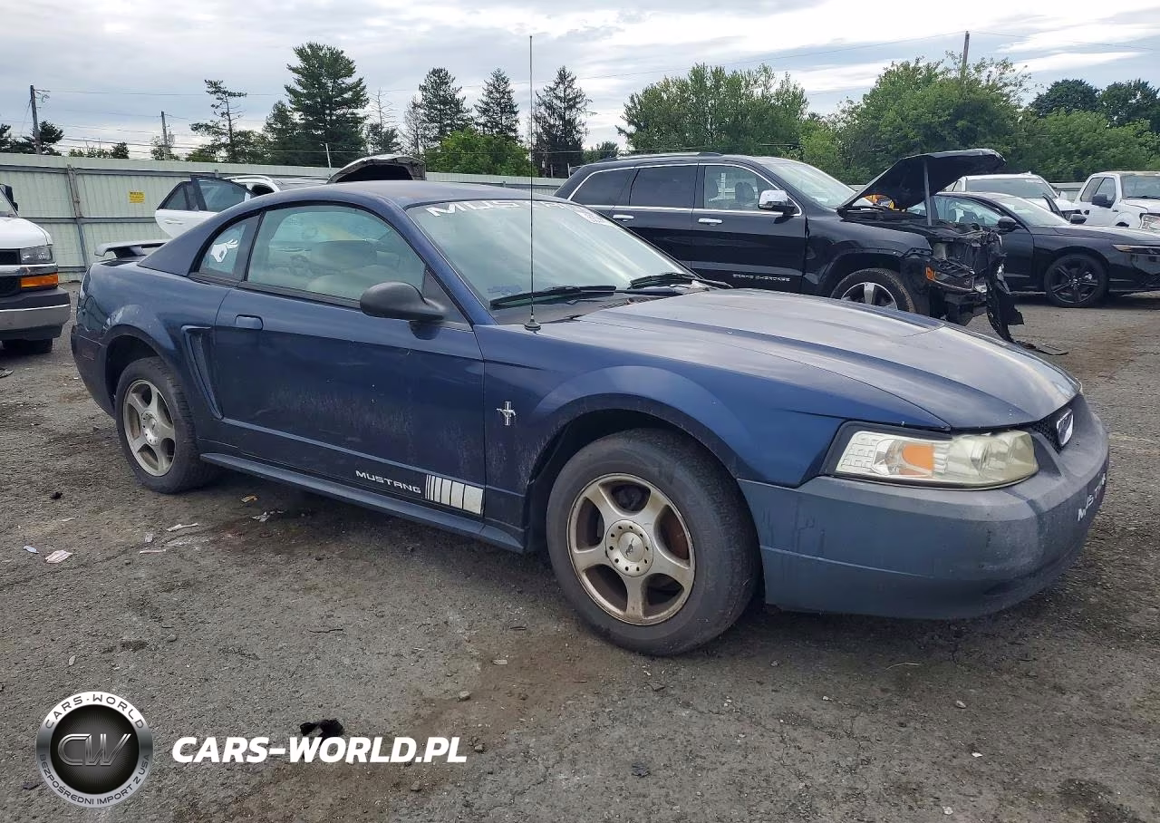 2003 Ford Mustang VIN:1FAFP40443F317755 - 4