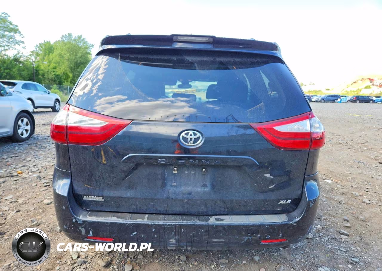2018 Toyota Sienna Xle 8-Passenger VIN:5TDYZ3DC5JS934927 - 6