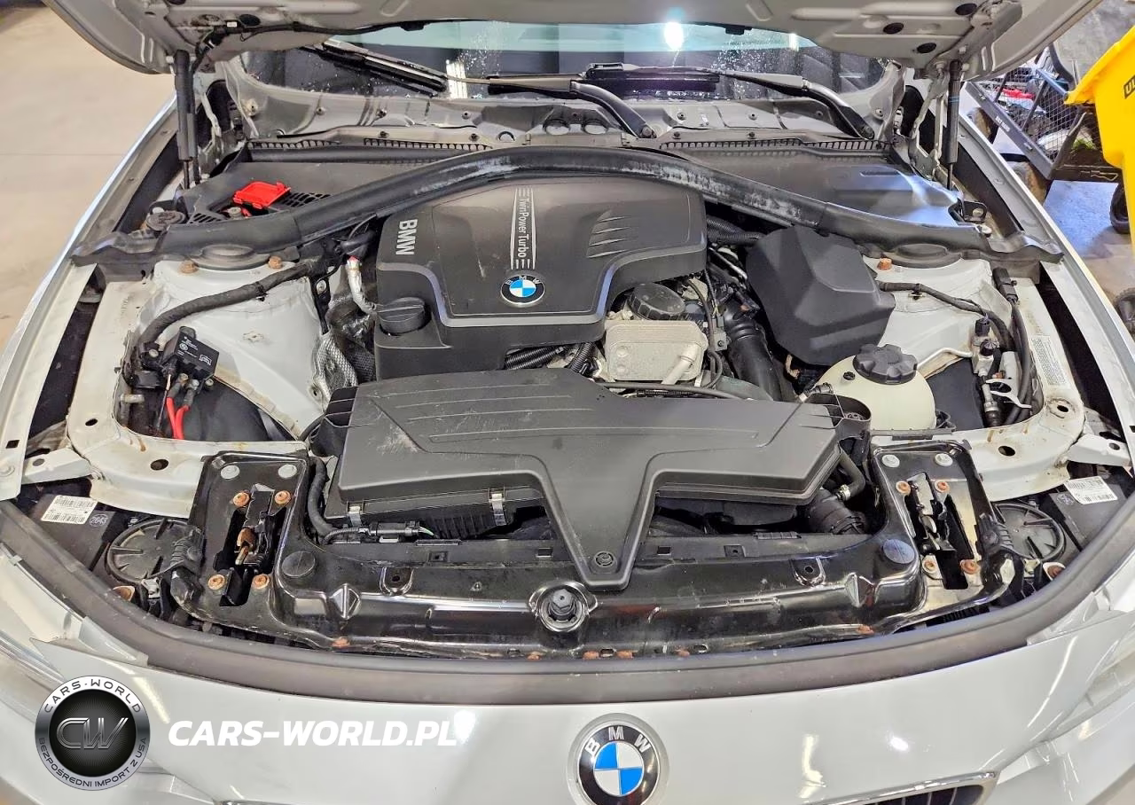 2014 BMW 428 Xi VIN:WBA3N9C5XEF720191 - 11