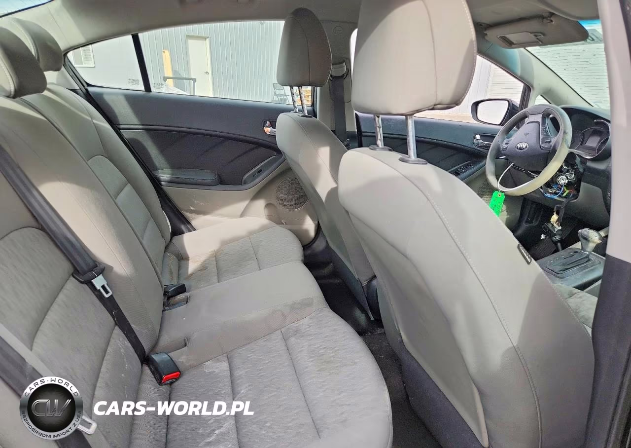 2014 Kia Forte Lx VIN:KNAFK4A63E5070758 - 10