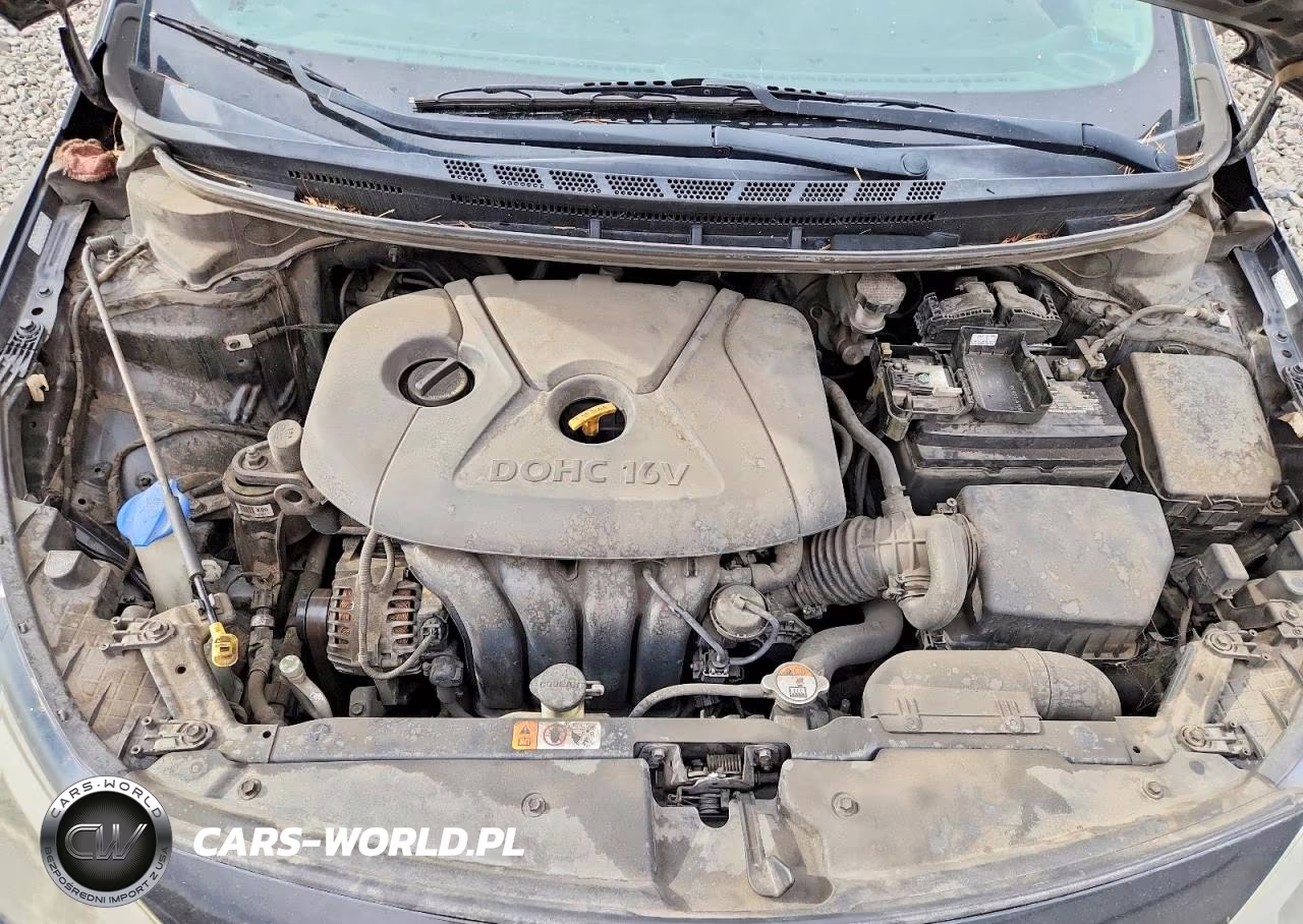 2014 Kia Forte Lx VIN:KNAFK4A63E5070758 - 11