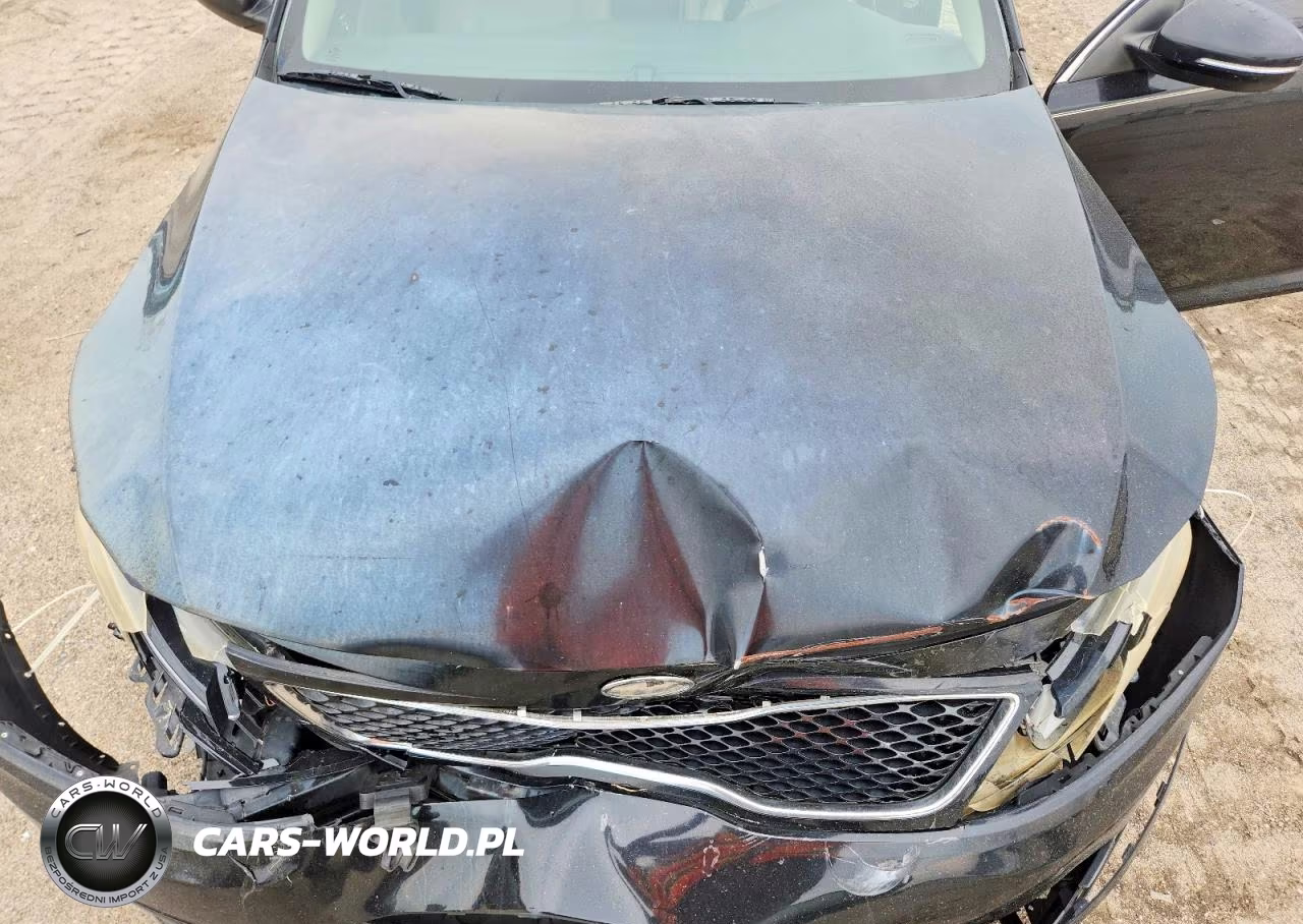 2015 Kia Optima Ex VIN:5XXGN4A7XFG417801 - 11