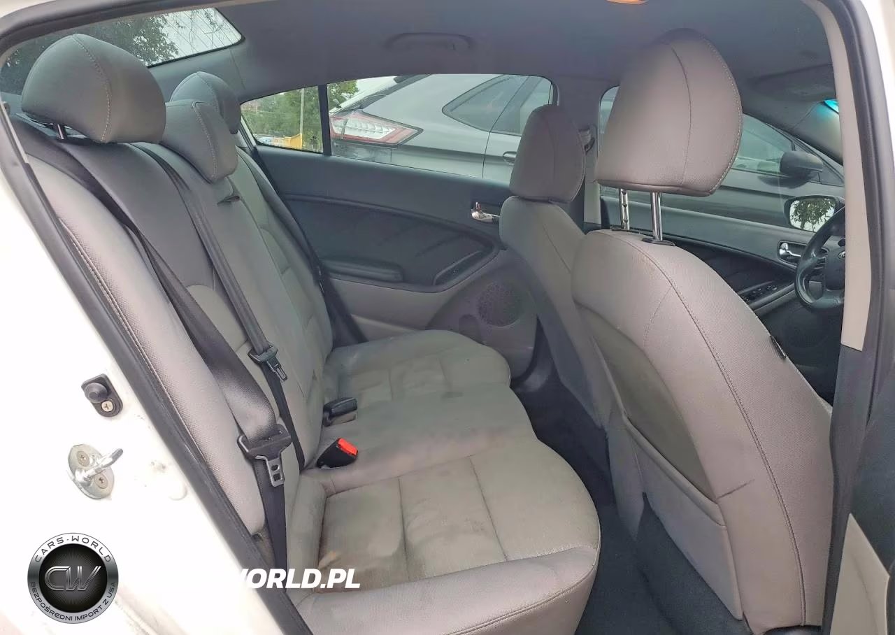 2016 Kia Forte Lx VIN:KNAFX4A67G5559412 - 10