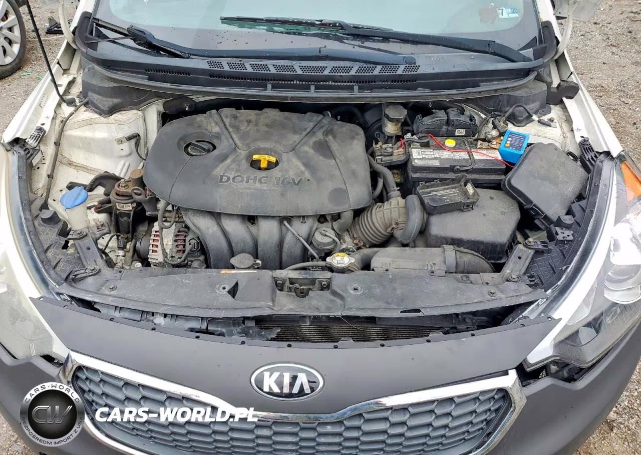 2016 Kia Forte Lx VIN:KNAFX4A67G5559412 - 11