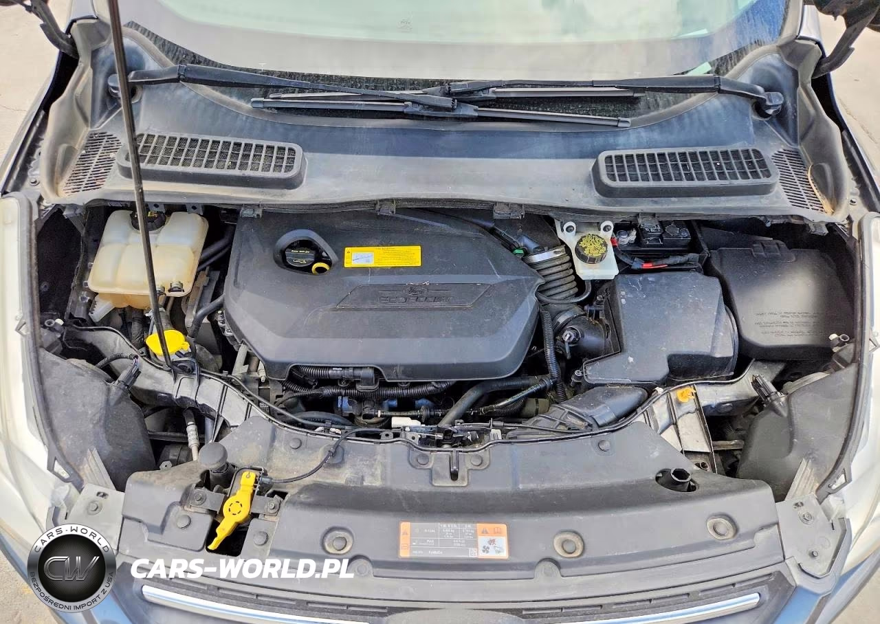 2015 Ford Escape Se VIN:1FMCU0GX8FUB86078 - 12