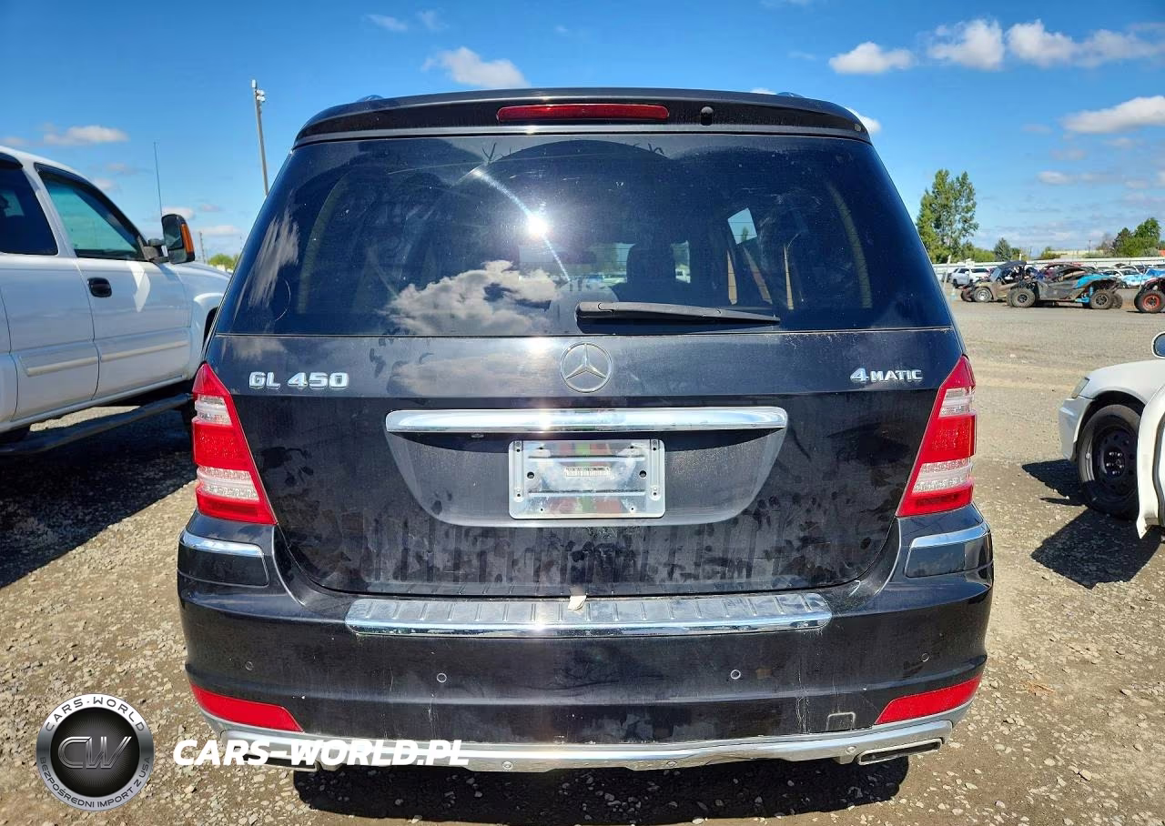 2010 Mercedes-Benz Gl 450 4Matic VIN:4JGBF7BE7AA621106 - 6