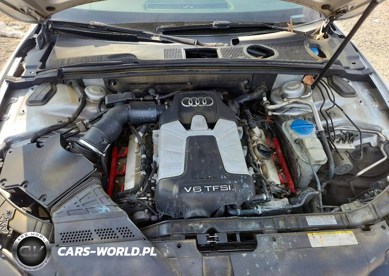 2013 Audi S5 Premium Plus VIN:WAUCGAFH5DN001792 - 11