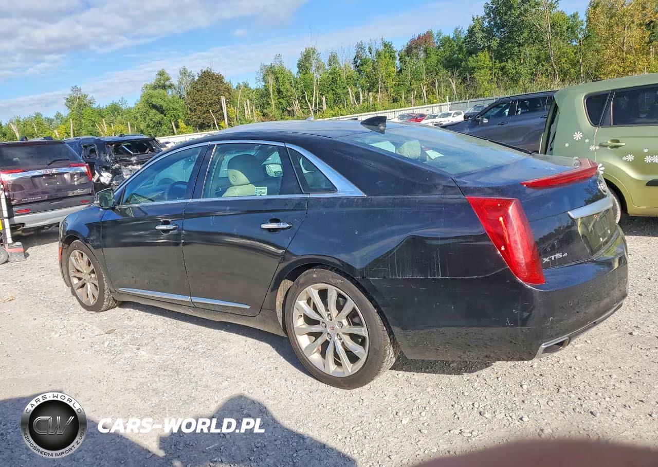 2015 Cadillac Xts Luxury Collection VIN:2G61N5S38F9272257 - 2