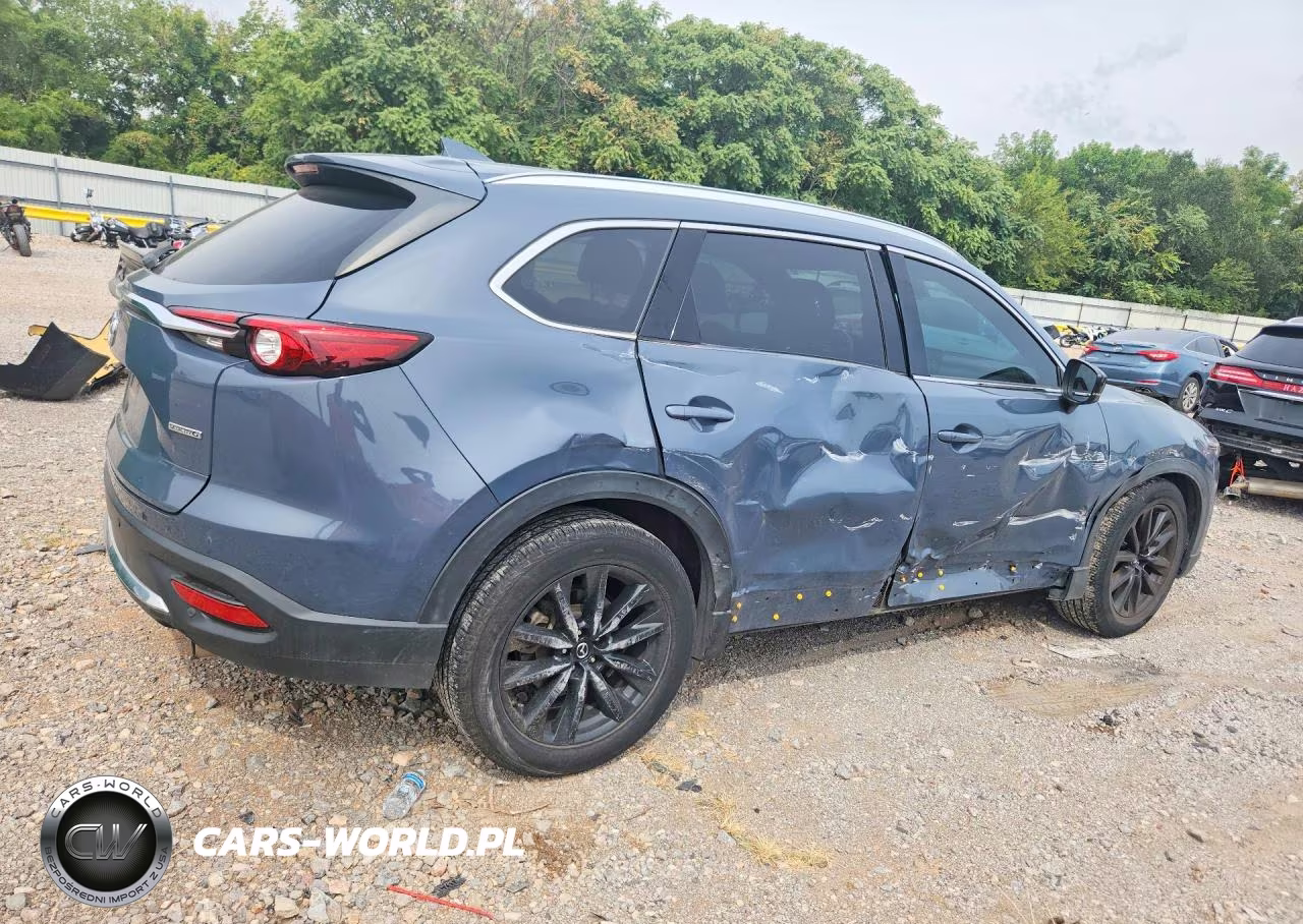 2021 Mazda Cx-9 Grand Touring VIN:JM3TCBDYXM0530442 - 3
