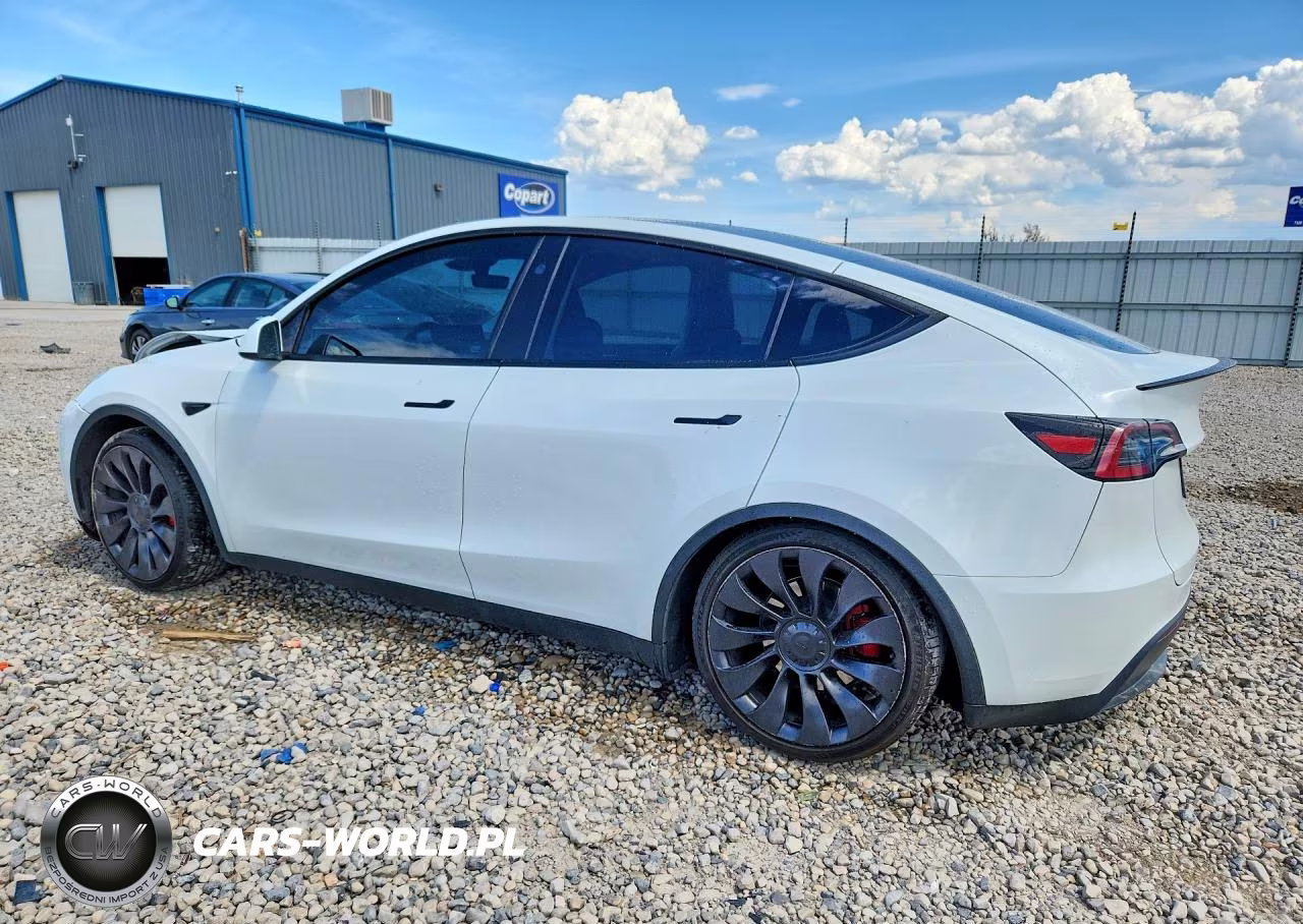 2023 Tesla Model Y VIN:7SAYGDEF7PF848586 - 2
