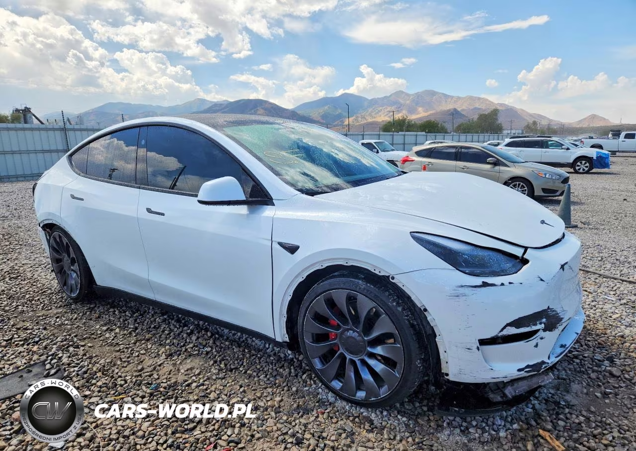 2023 Tesla Model Y VIN:7SAYGDEF7PF848586 - 4
