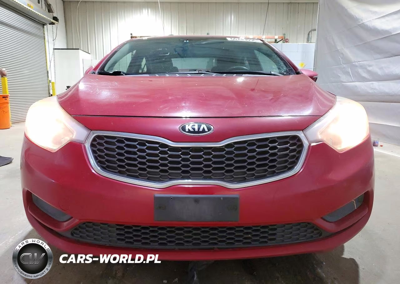2016 Kia Forte Lx VIN:KNAFX4A63G5497863 - 5