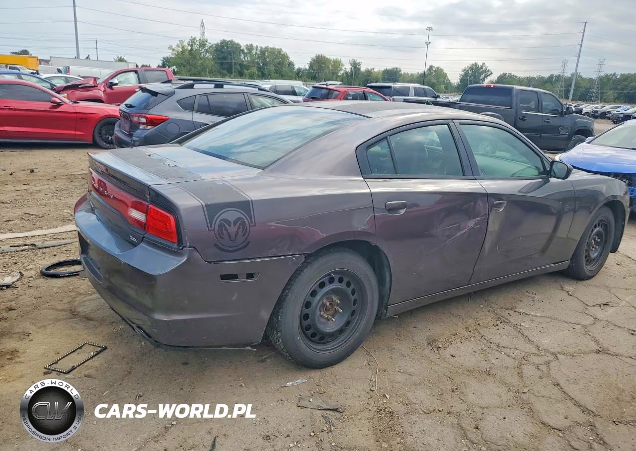 2014 Dodge Charger Police VIN:2C3CDXBG8EH324258 - 3
