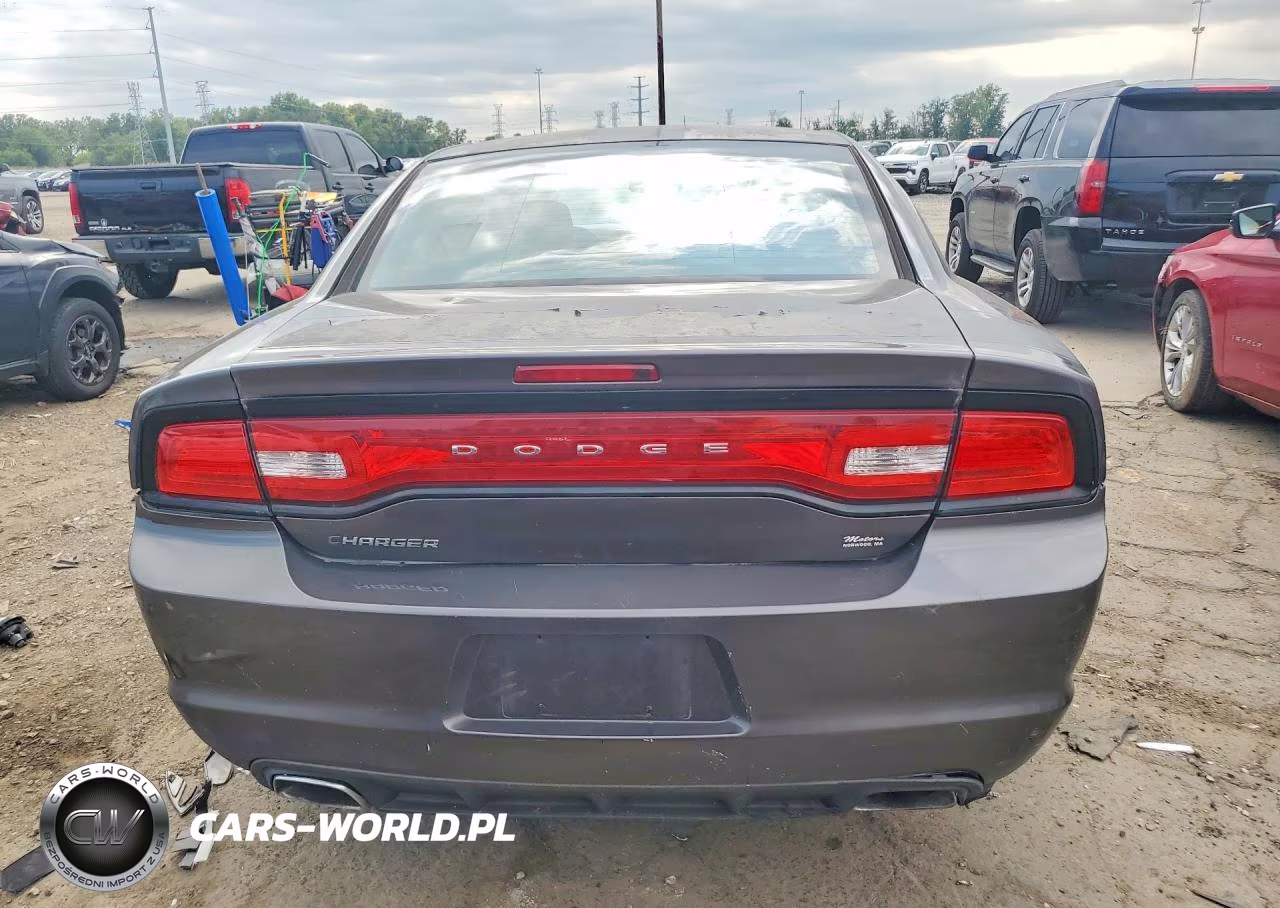 2014 Dodge Charger Police VIN:2C3CDXBG8EH324258 - 6