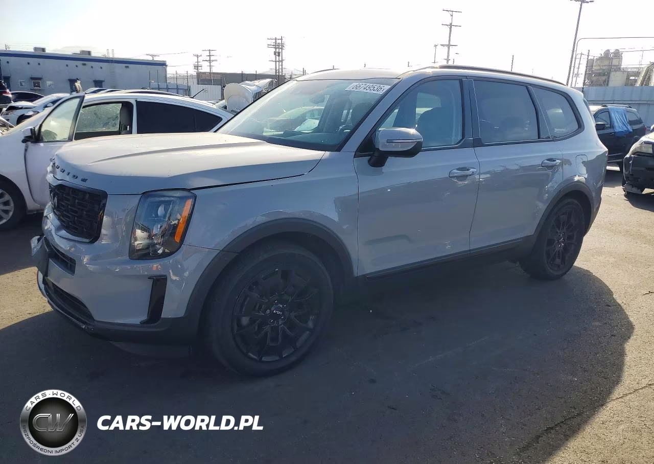 2022 Kia Telluride Ex VIN:5XYP3DHC7NG225271 - 1