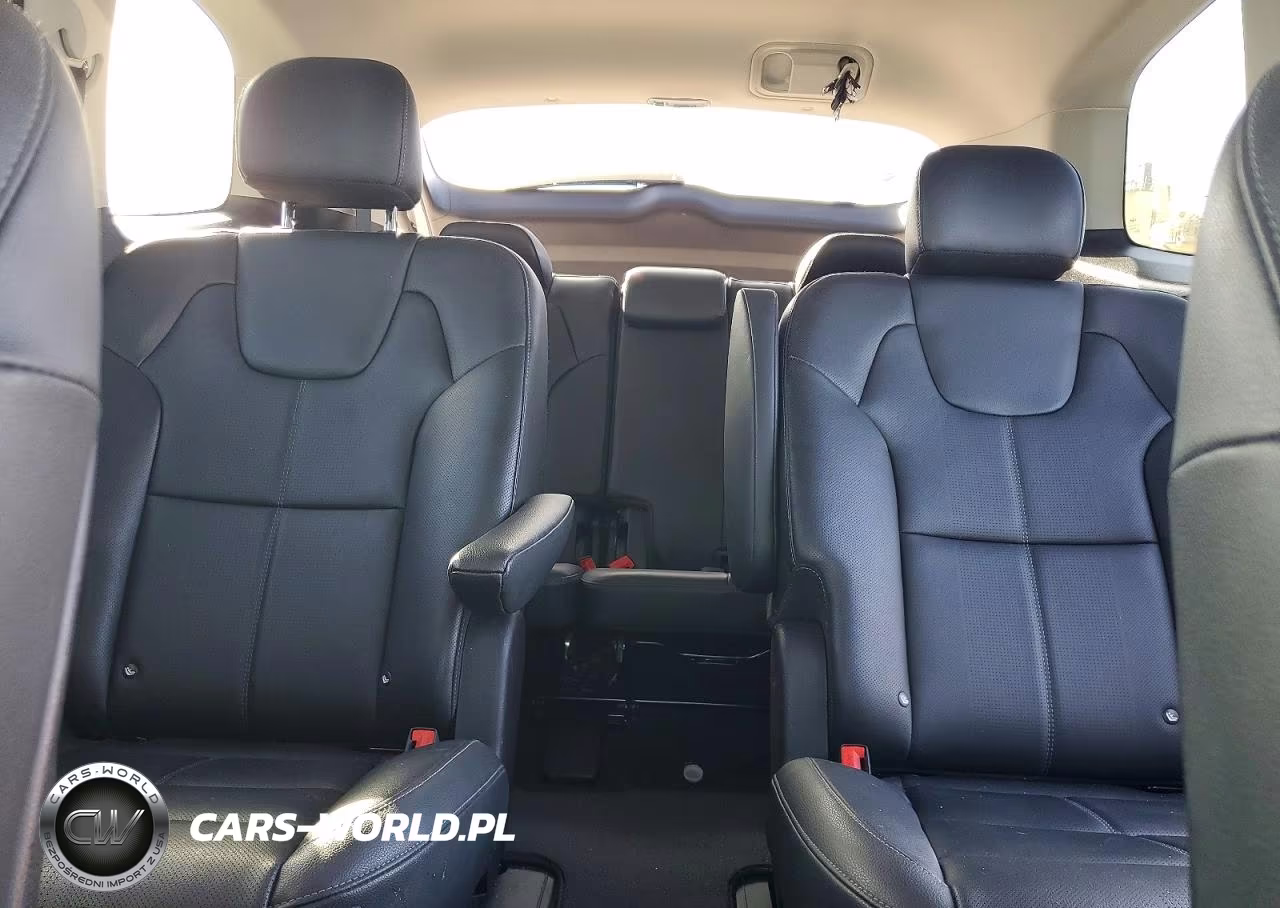 2022 Kia Telluride Ex VIN:5XYP3DHC7NG225271 - 10
