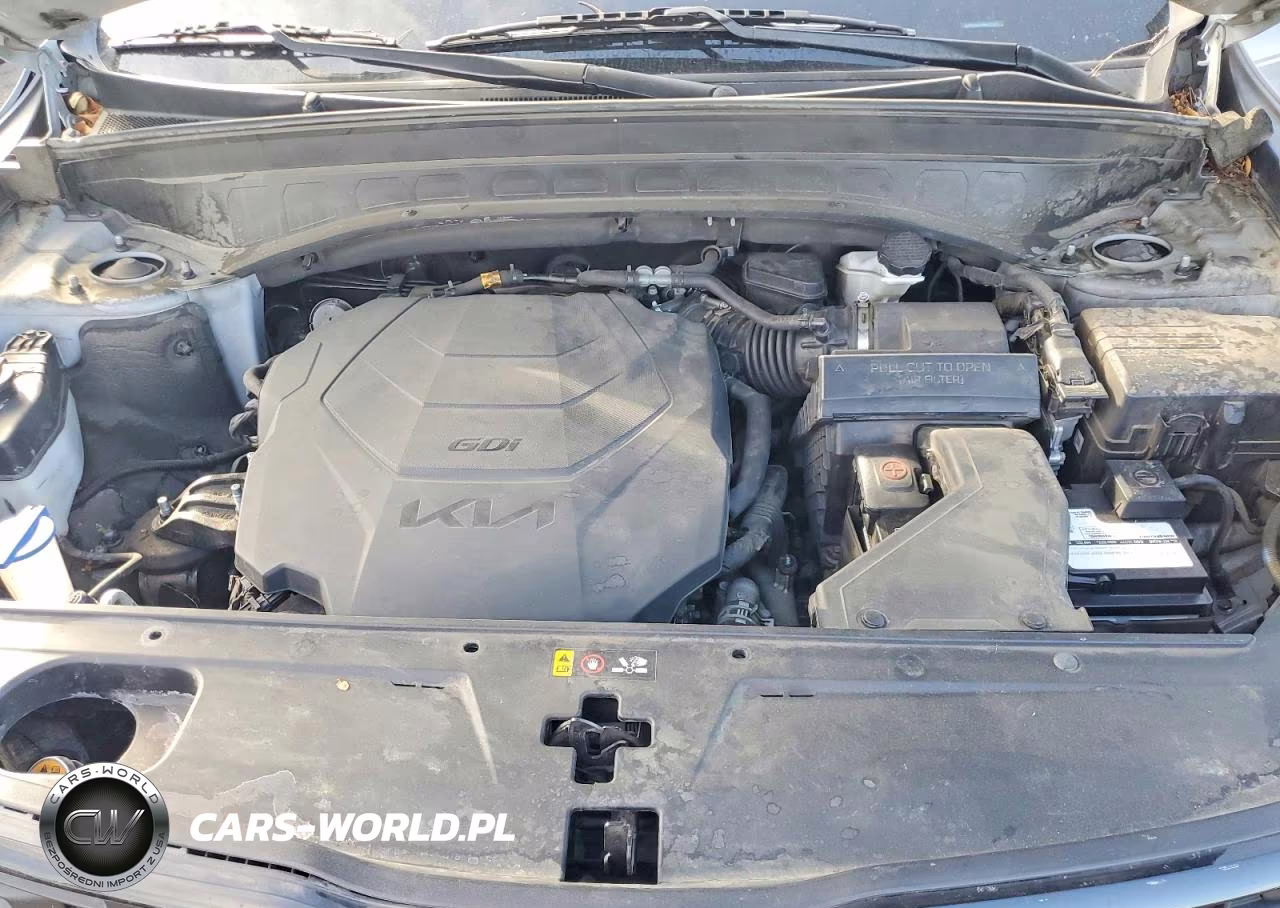2022 Kia Telluride Ex VIN:5XYP3DHC7NG225271 - 12
