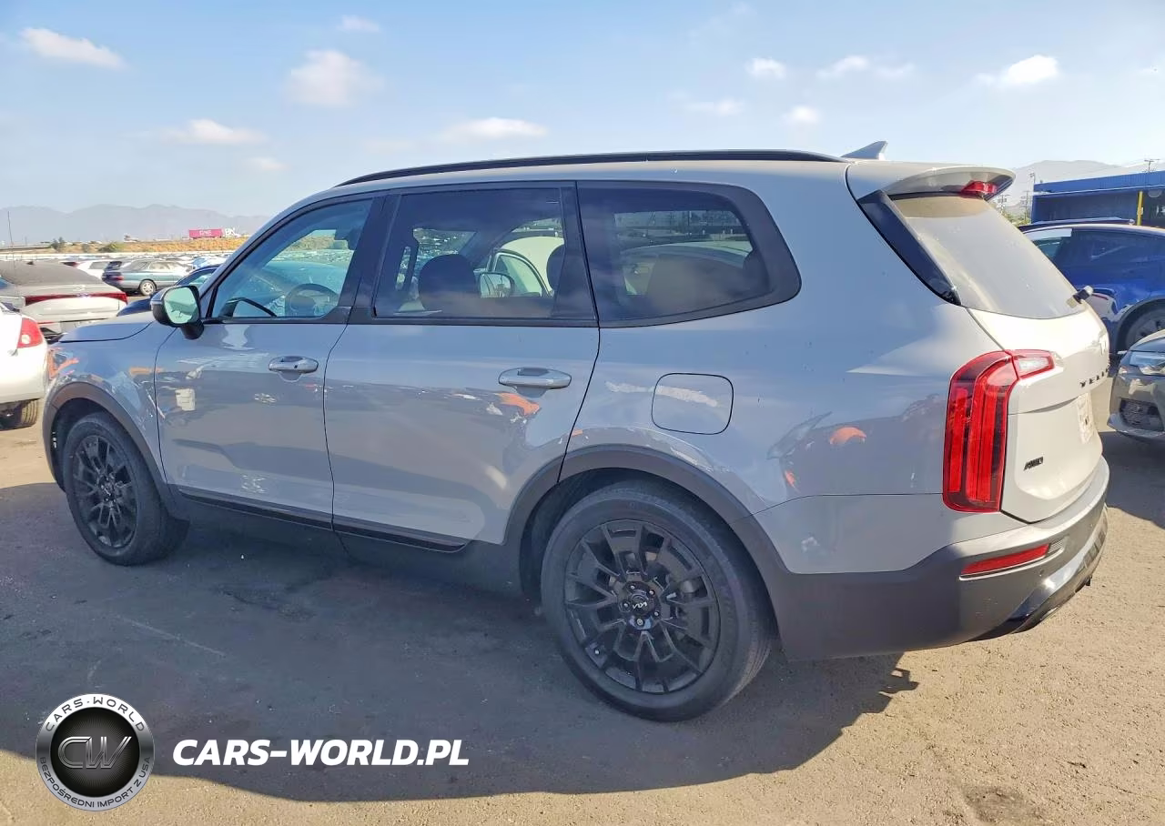 2022 Kia Telluride Ex VIN:5XYP3DHC7NG225271 - 2
