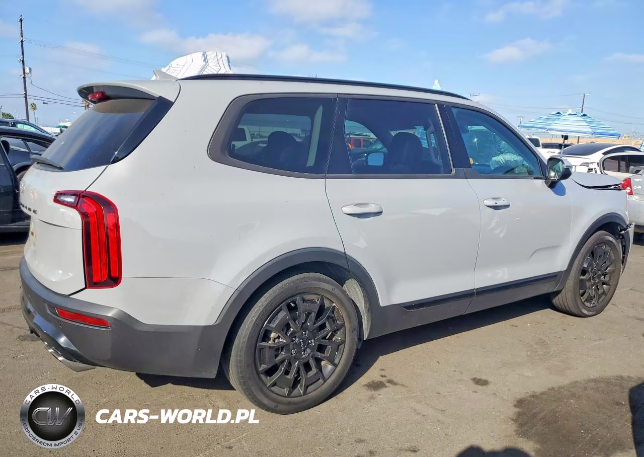 2022 Kia Telluride Ex VIN:5XYP3DHC7NG225271 - 3