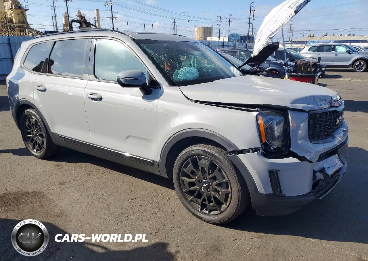 2022 Kia Telluride Ex VIN:5XYP3DHC7NG225271 - 4