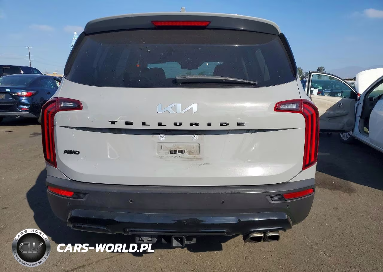 2022 Kia Telluride Ex VIN:5XYP3DHC7NG225271 - 6