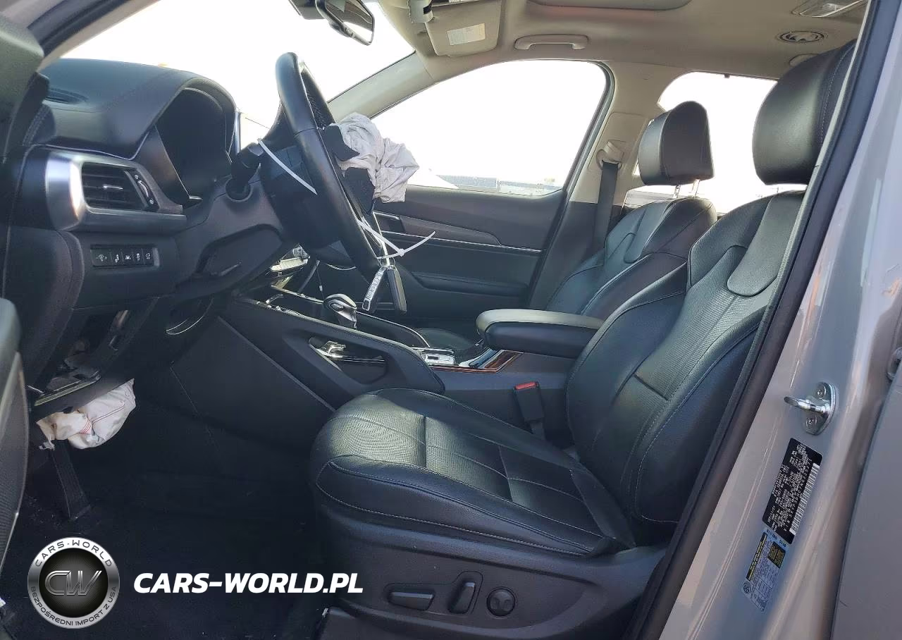 2022 Kia Telluride Ex VIN:5XYP3DHC7NG225271 - 7
