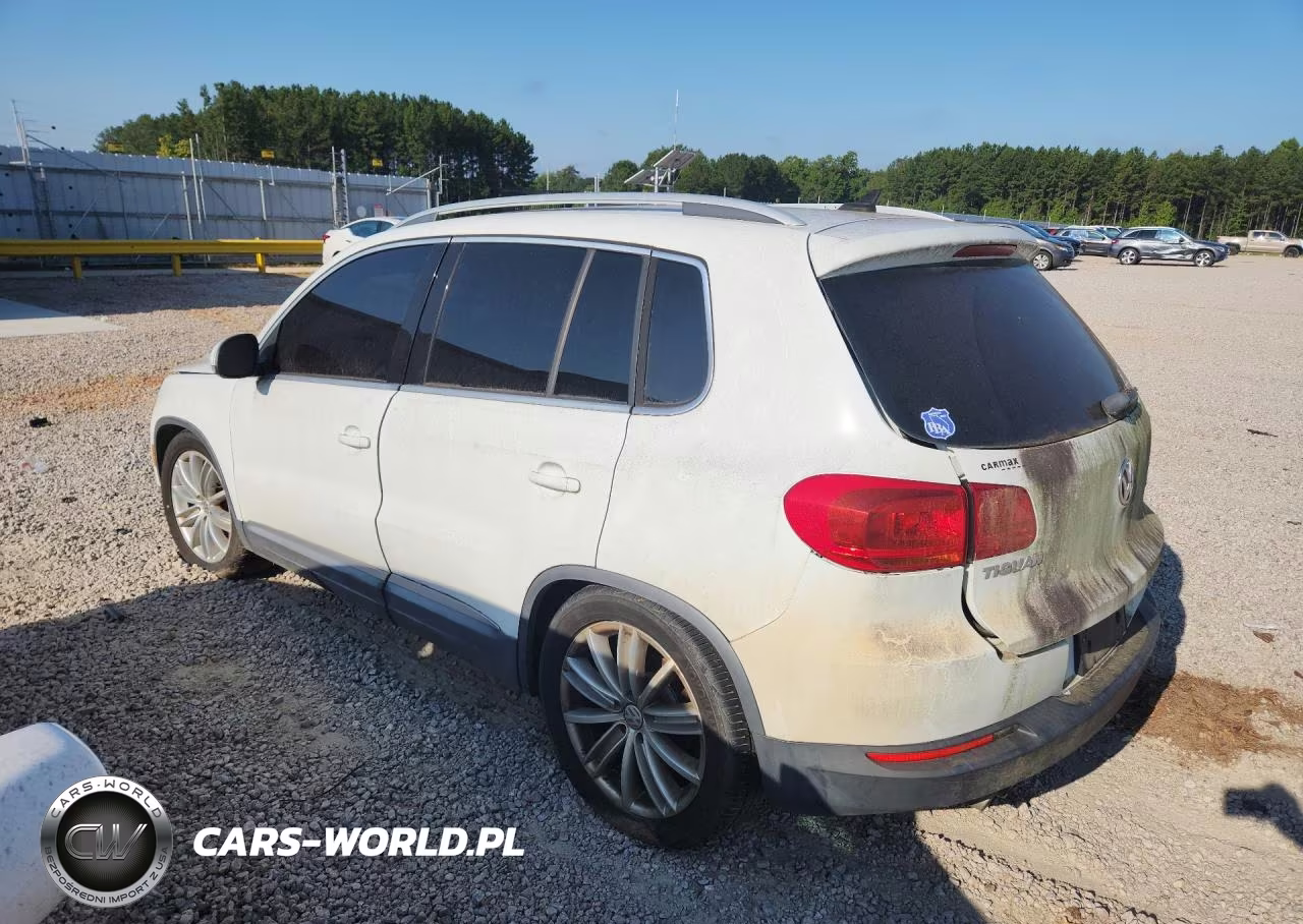 2014 Volkswagen Tiguan S VIN:WVGAV3AX4EW624029 - 2