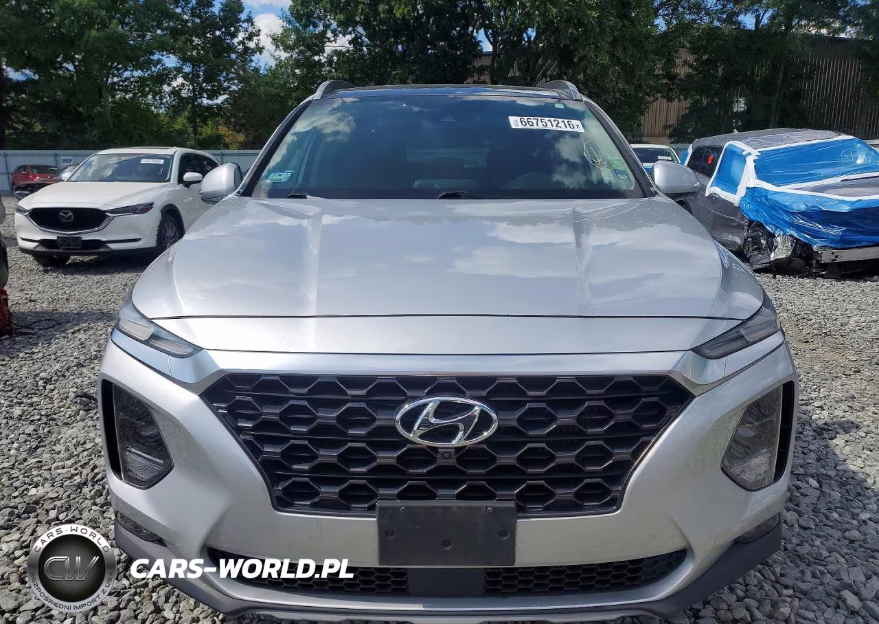 2019 Hyundai Santa Fe Ultimate 2.0T VIN:5NMS5CAA3KH021835 - 5