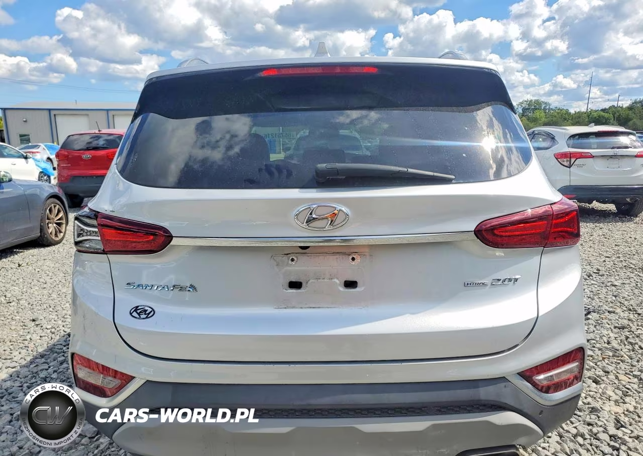 2019 Hyundai Santa Fe Ultimate 2.0T VIN:5NMS5CAA3KH021835 - 6