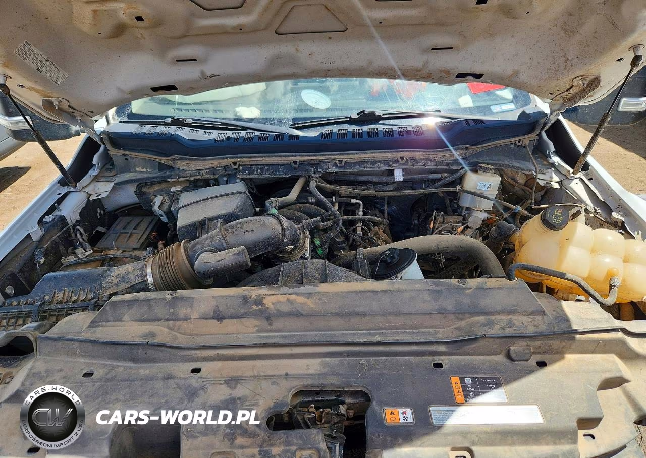 2023 Ford F250 Super Duty VIN:1FT8W2BN2PEC14426 - 11
