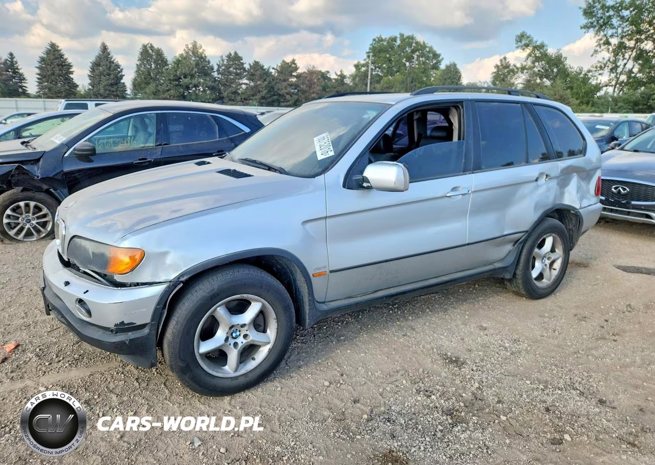 2003 BMW X5 3.0I VIN:5UXFA53593LV74481 - 1