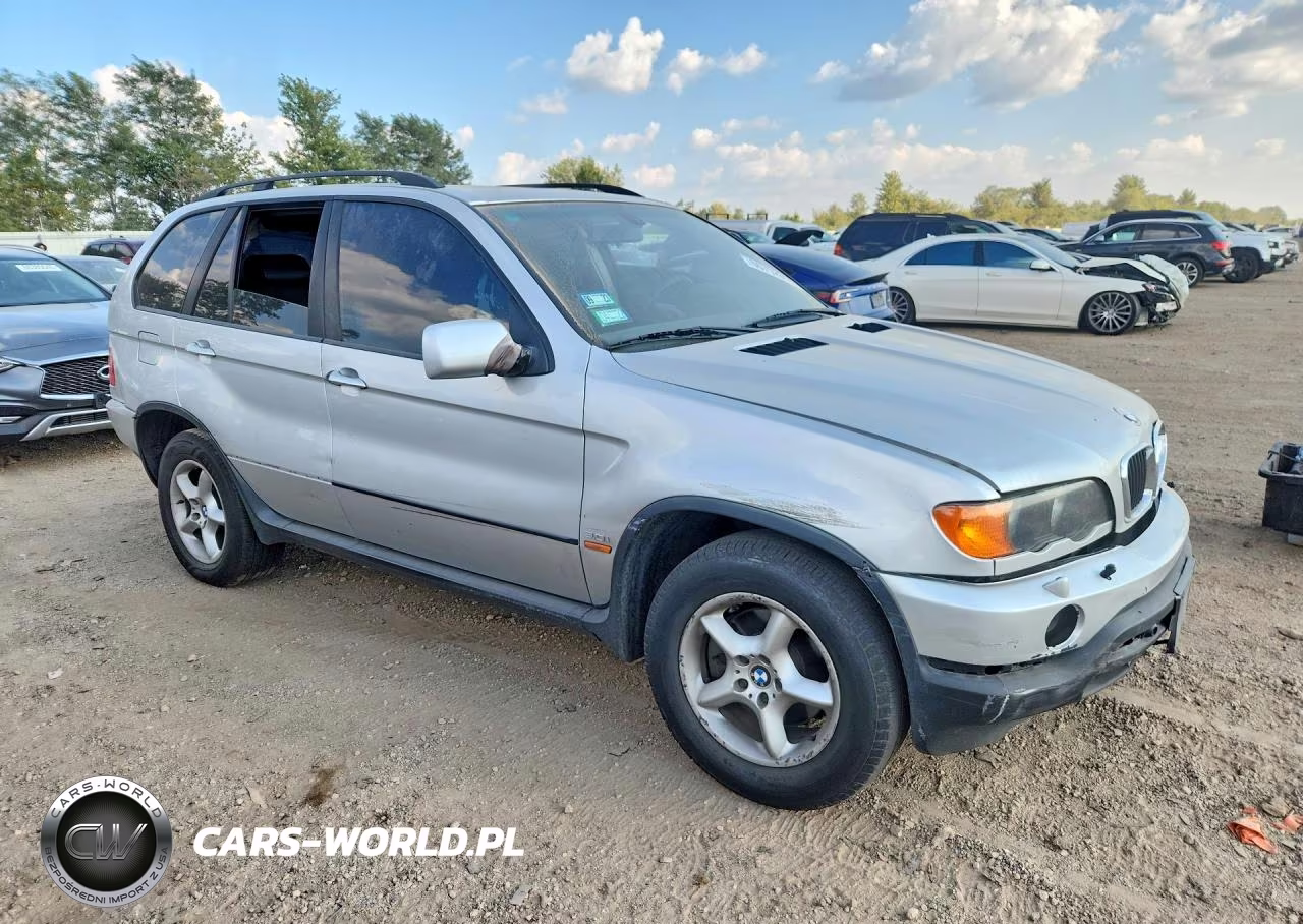 2003 BMW X5 3.0I VIN:5UXFA53593LV74481 - 4