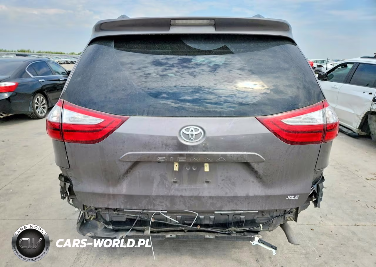 2016 Toyota Sienna Xle Premium 8-Passenger VIN:5TDYK3DCXGS741590 - 6