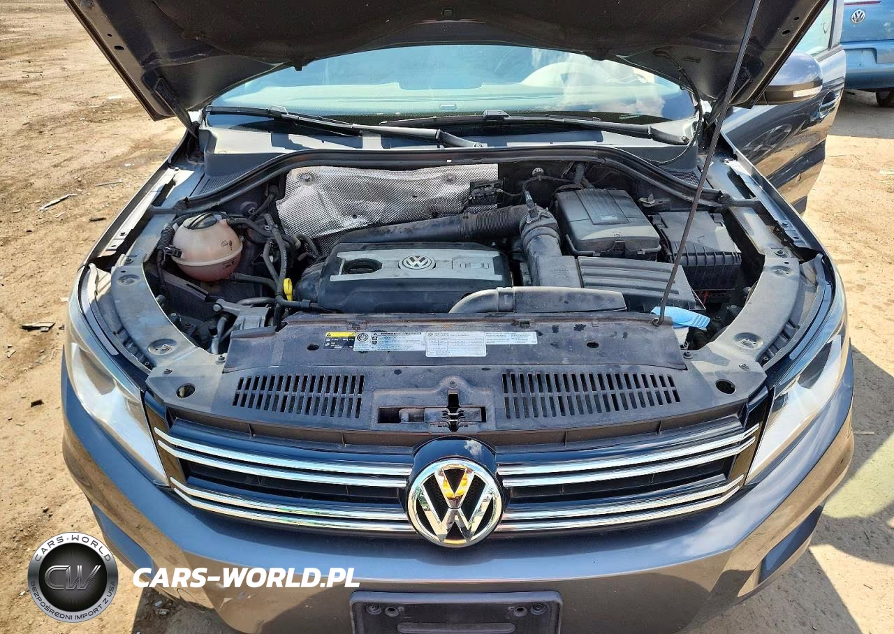 2014 Volkswagen Tiguan S VIN:WVGAV3AX1EW506746 - 12