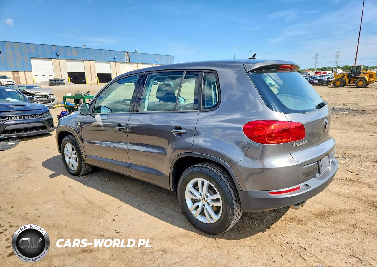 2014 Volkswagen Tiguan S VIN:WVGAV3AX1EW506746 - 2