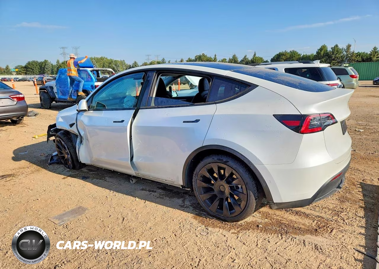 2022 Tesla Model Y VIN:7SAYGDEE4NA018570 - 2