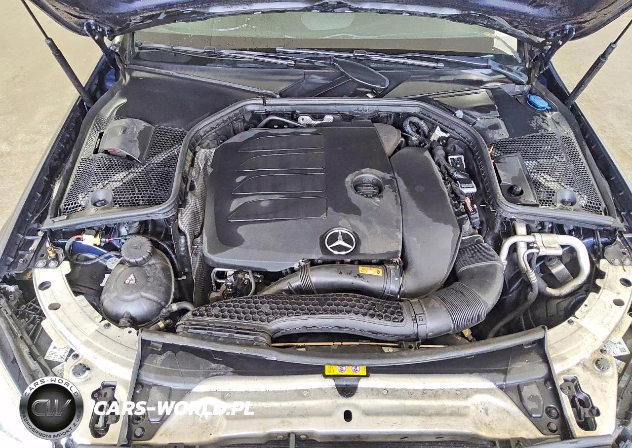 2020 Mercedes-Benz C 300 VIN:55SWF8DB1LU328017 - 11