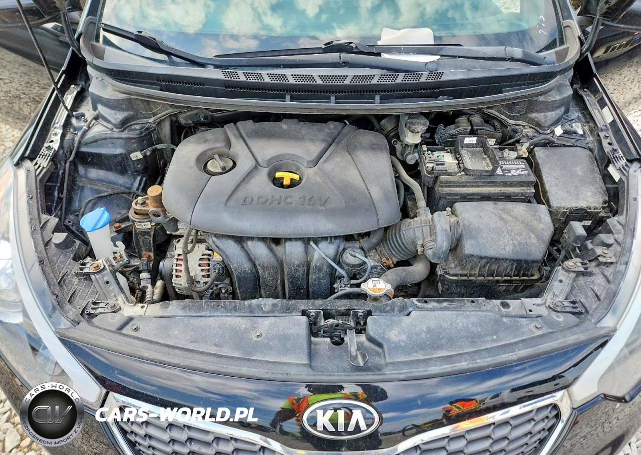 2016 Kia Forte Lx VIN:KNAFK4A65G5620528 - 11