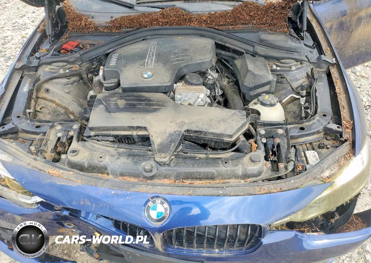 2016 BMW 328 Xi Sulev VIN:WBA8E3G51GNU00229 - 11