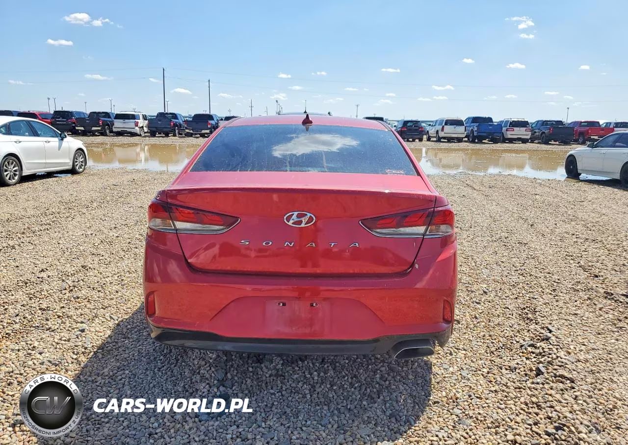 2019 Hyundai Sonata Sel VIN:5NPE34AF5KH784852 - 6