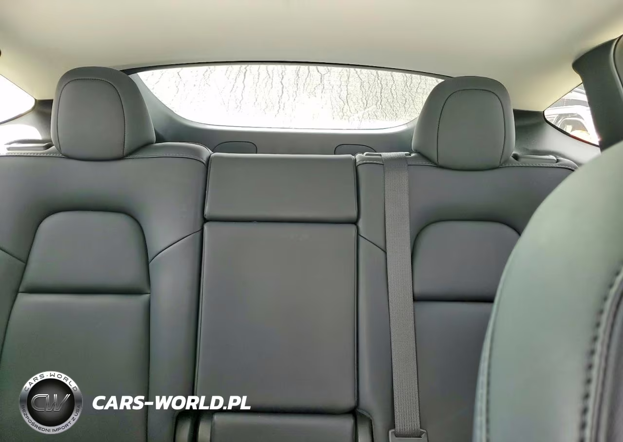 2023 Tesla Model Y VIN:7SAYGDEE7PF691830 - 10