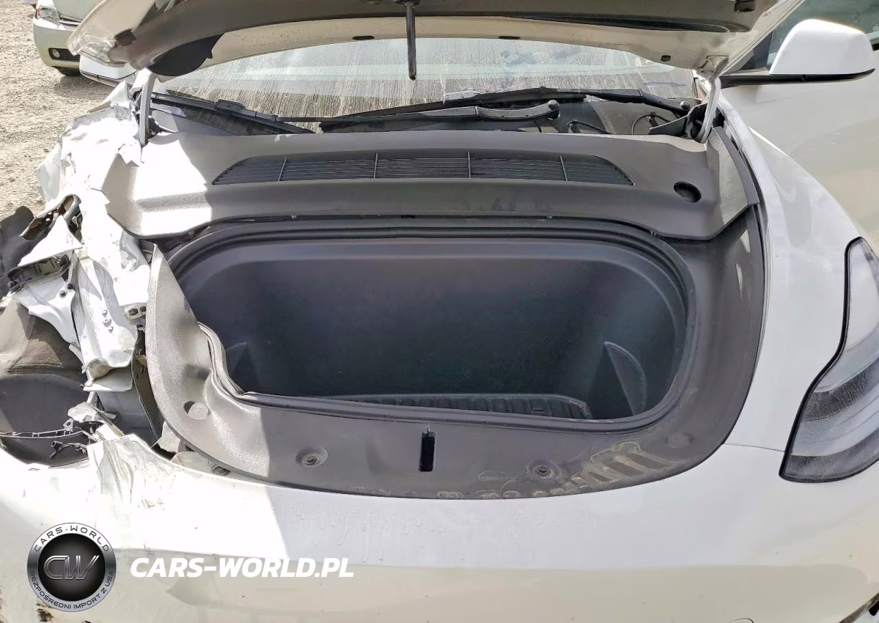 2023 Tesla Model Y VIN:7SAYGDEE7PF691830 - 12