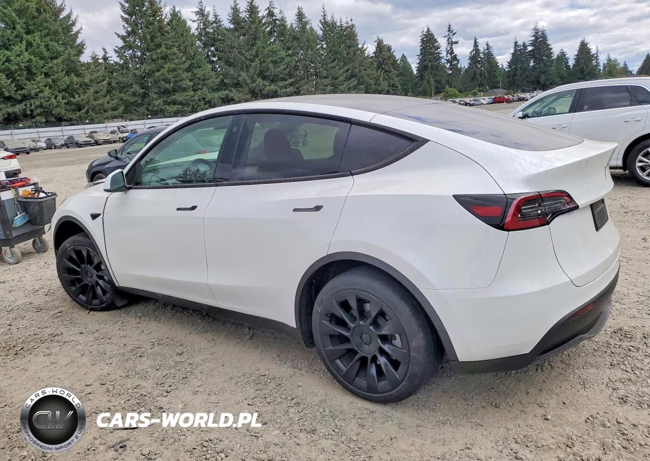2023 Tesla Model Y VIN:7SAYGDEE7PF691830 - 2