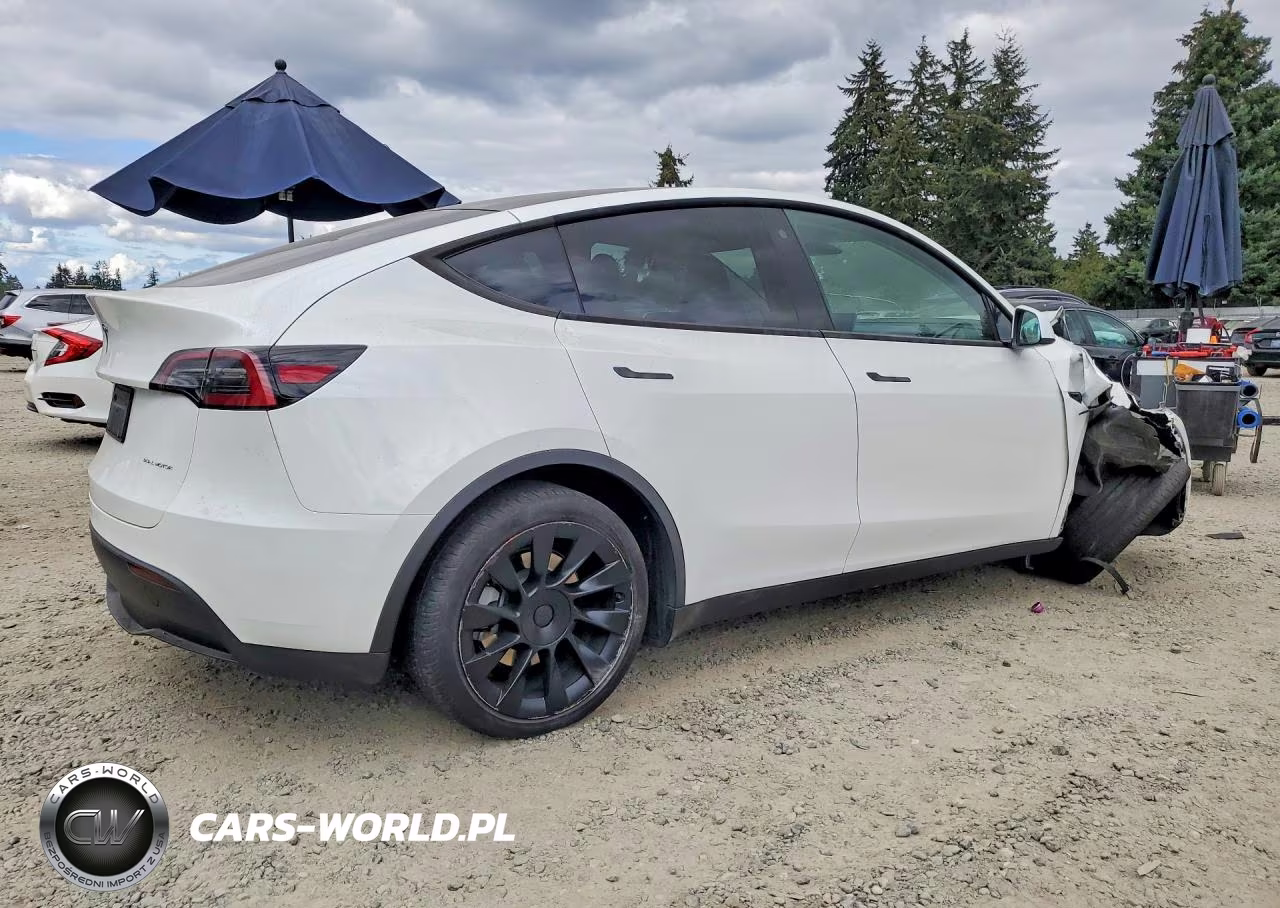 2023 Tesla Model Y VIN:7SAYGDEE7PF691830 - 3