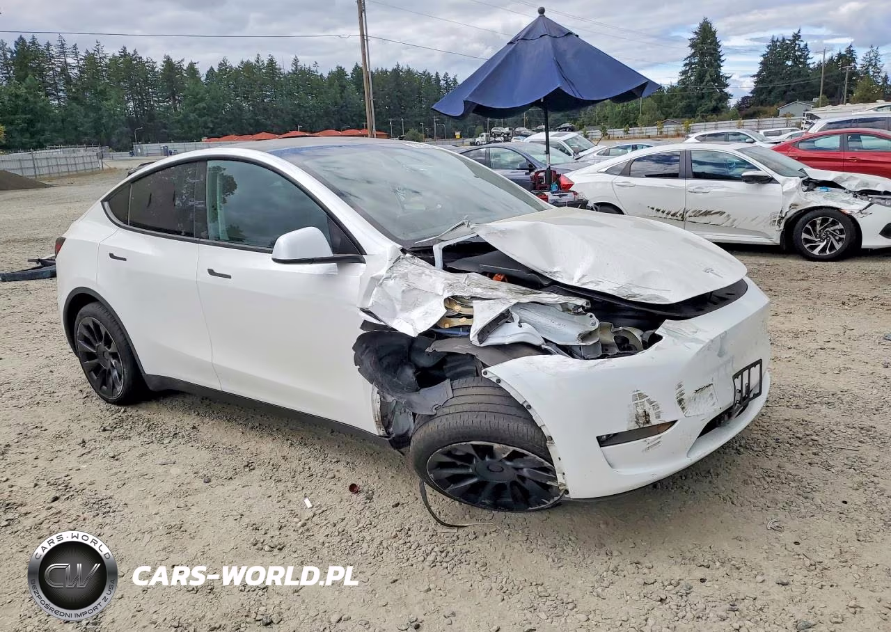 2023 Tesla Model Y VIN:7SAYGDEE7PF691830 - 4