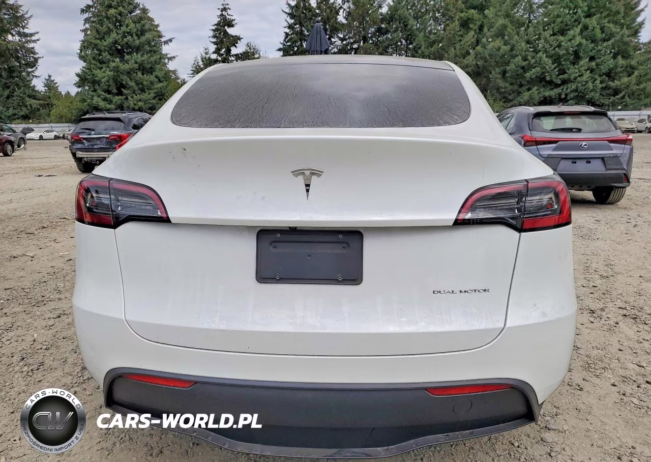 2023 Tesla Model Y VIN:7SAYGDEE7PF691830 - 6