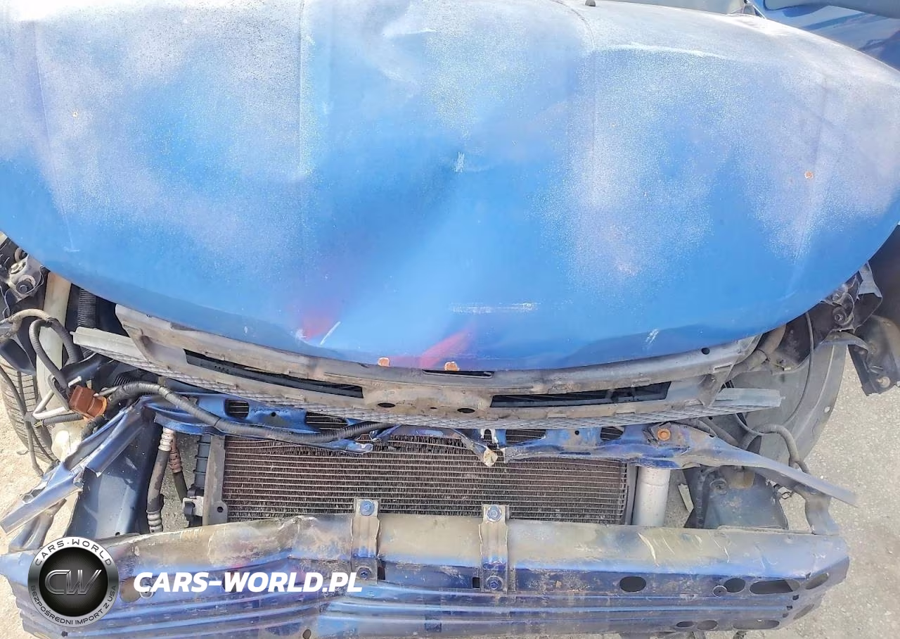 2009 Ford Focus Ses VIN:1FAHP36N29W194517 - 11