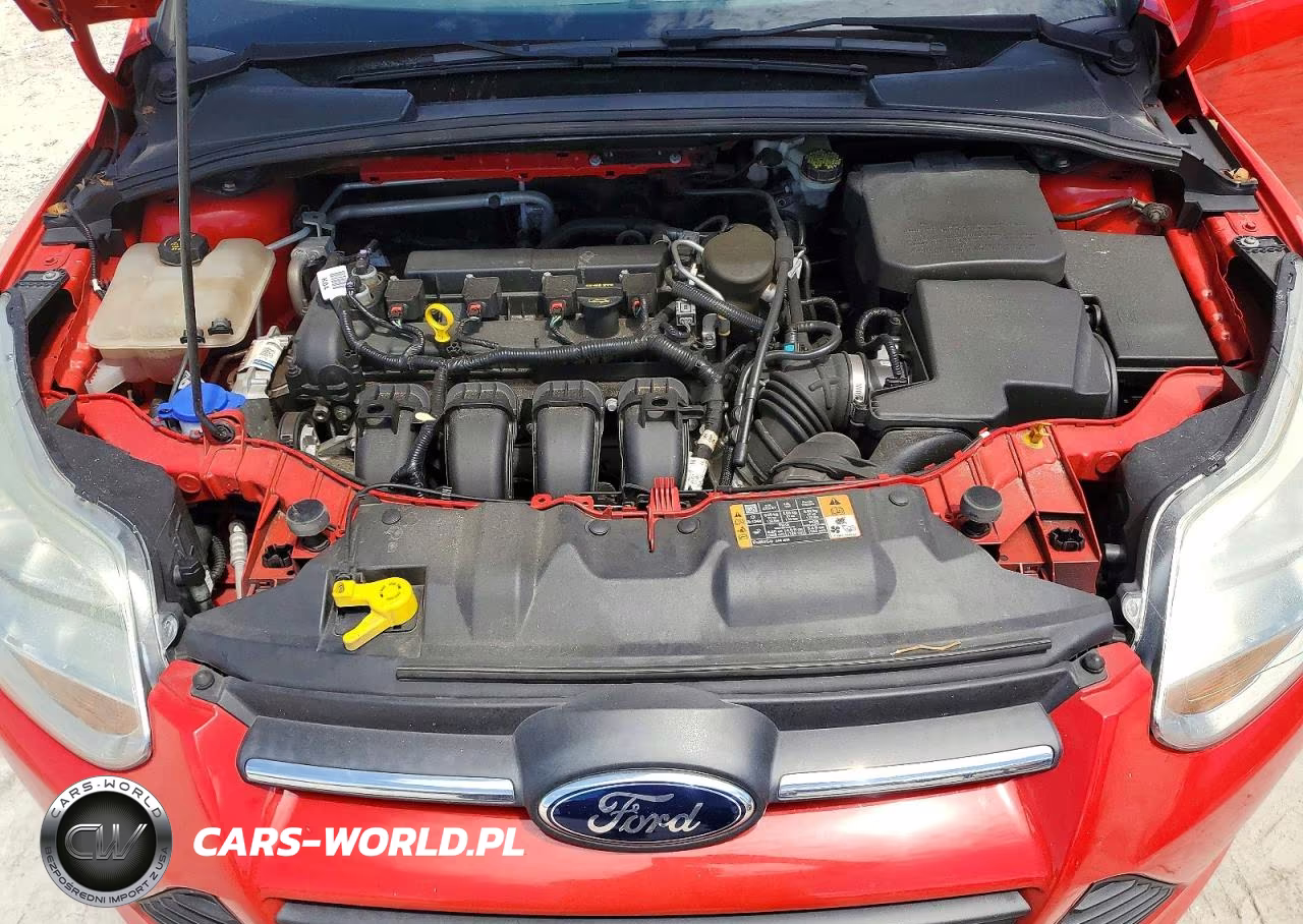 2014 Ford Focus Se VIN:1FADP3F27EL345867 - 11